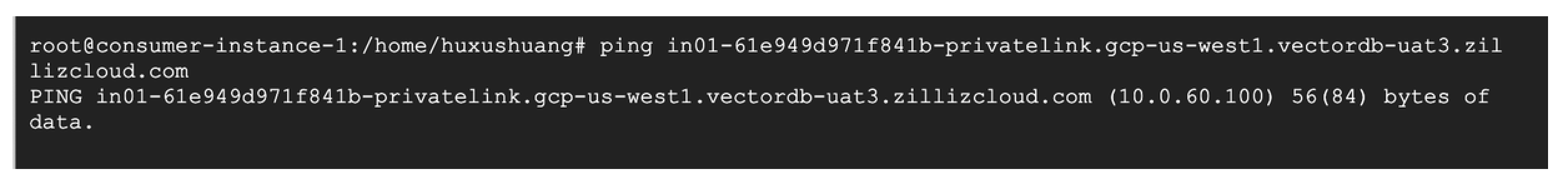 private_link_gcp_ts_01 private_link_gcp_ts_01
